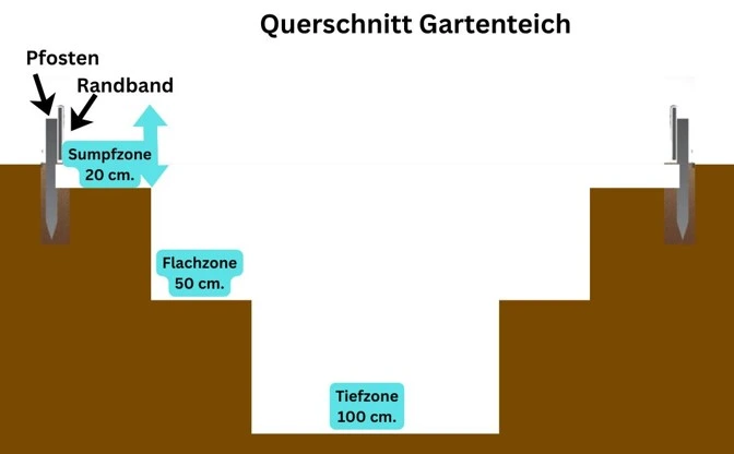 Gartenteich Querschnitt