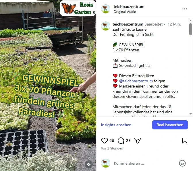 Gewinnspiel auf Instergram Pflanzen