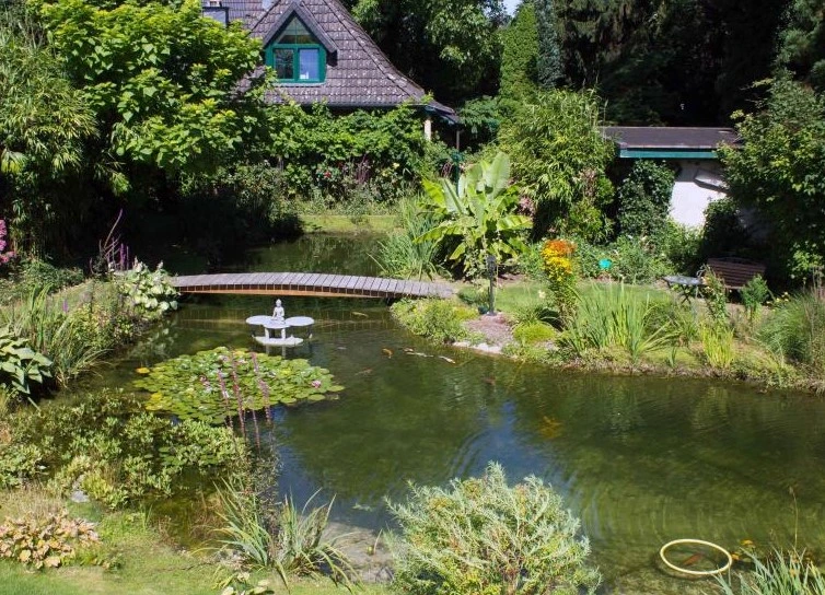 Koiteich mit optimale Lage.