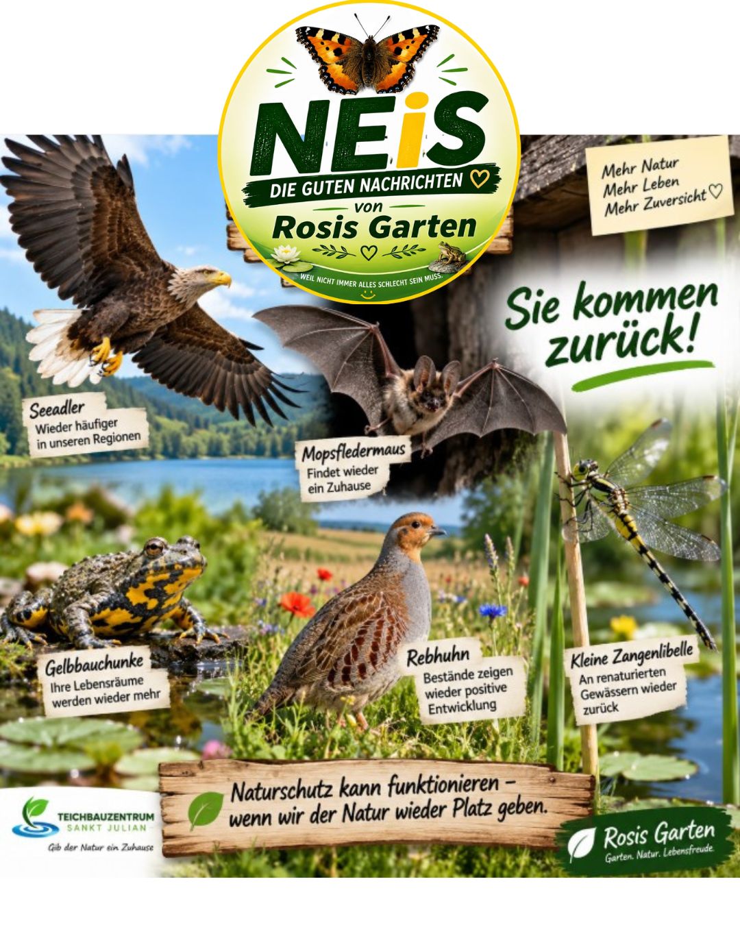 Seltene Tiere kommen zurück
