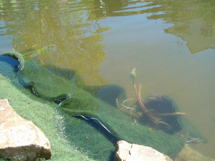 Pflanztasche am Teichrand eingebaut