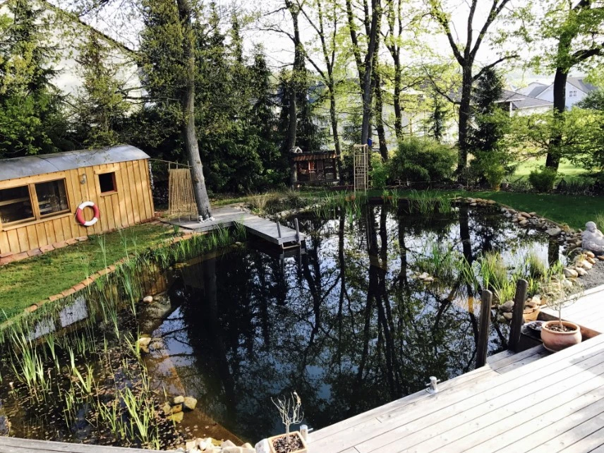 Schwimmteich im naturnahen Garten
