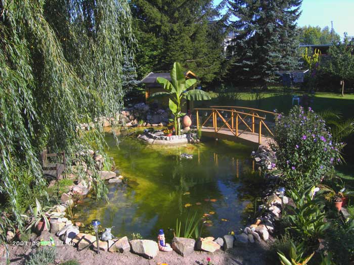 Teichbau im Garten, Naturteich