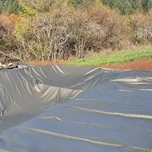 Techfolie Oliv Schwimmteich