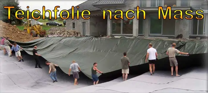 Teichfolie Oliv wird im Koiteich verlegt