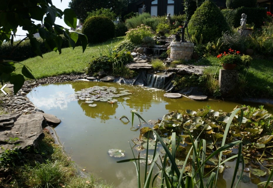 Oliv in Gartenteich ist eine natürlich wirkende Farbe