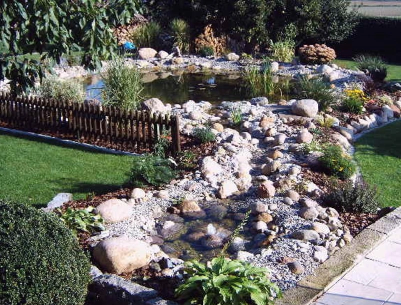 Gartenteich mit starker Belastung