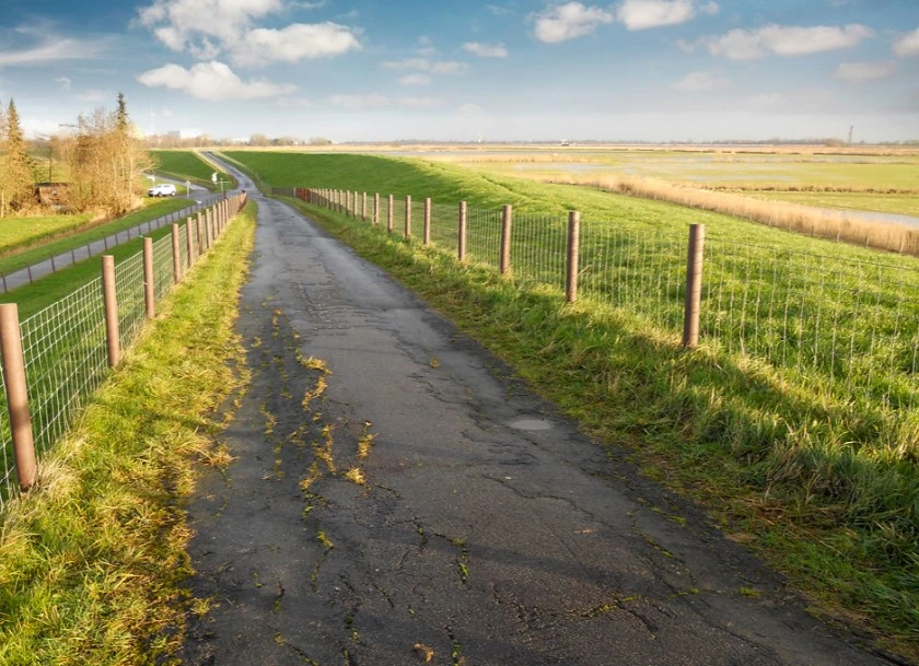 Weg eingezäunt mit gerade ausgerichtete Kunststoffpfosten